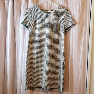 Calvin Klein Zebra Print Dress